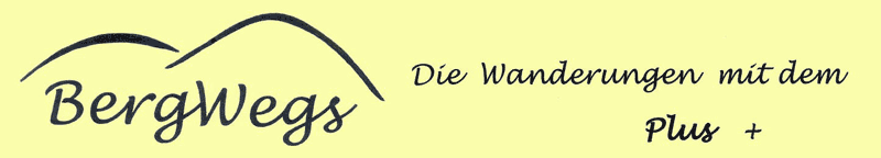 BergWegs Logo